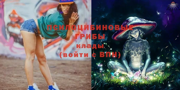 мяу мяу мука Армянск