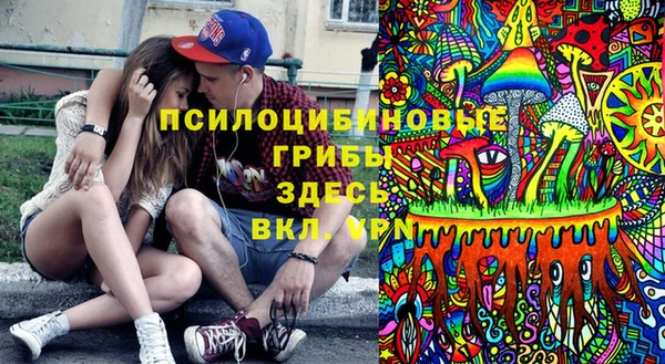 мяу мяу мука Армянск