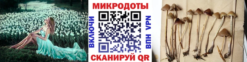 Галлюциногенные грибы мицелий Шуя